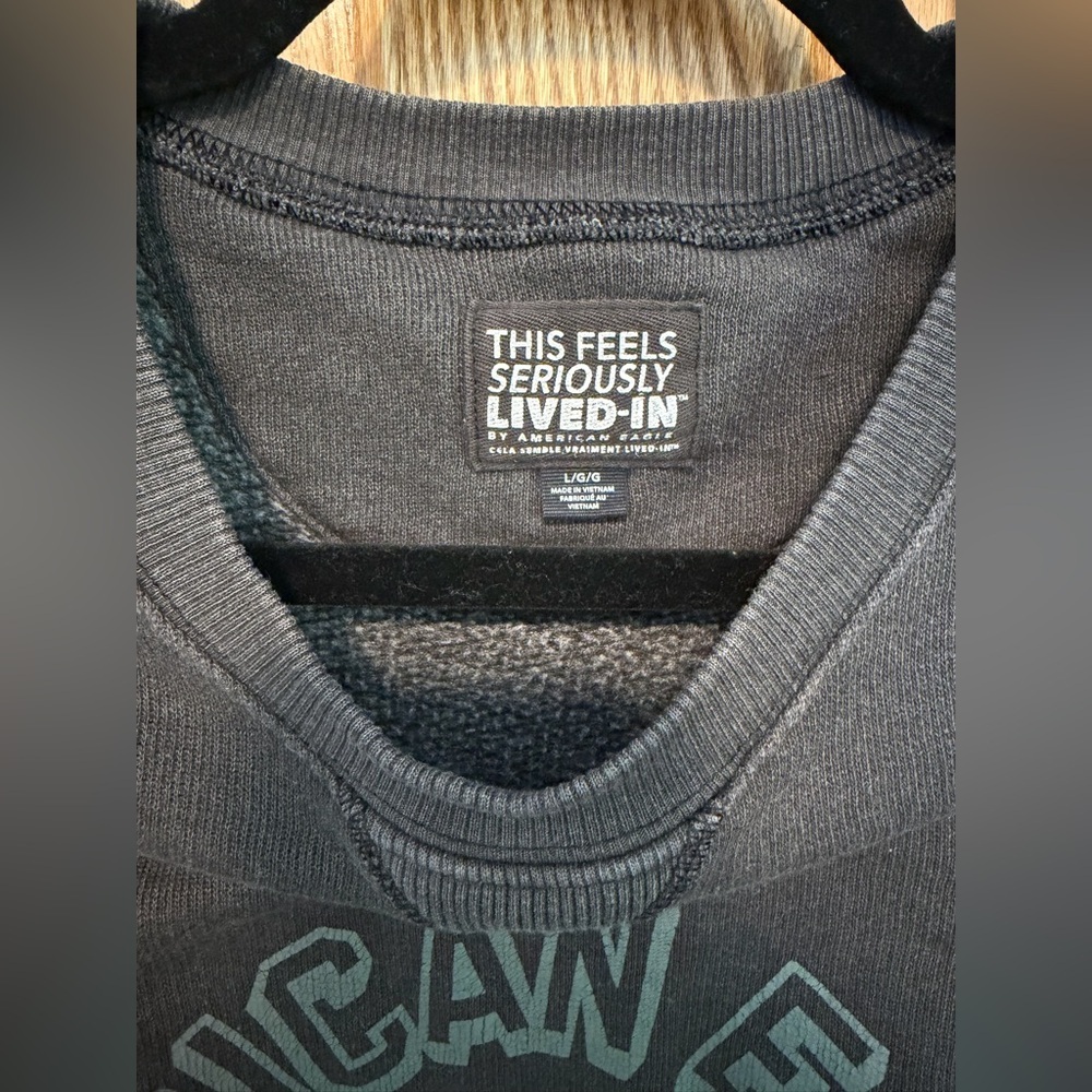 American Eagle Pullover Crewneck - Picture 2 of 5